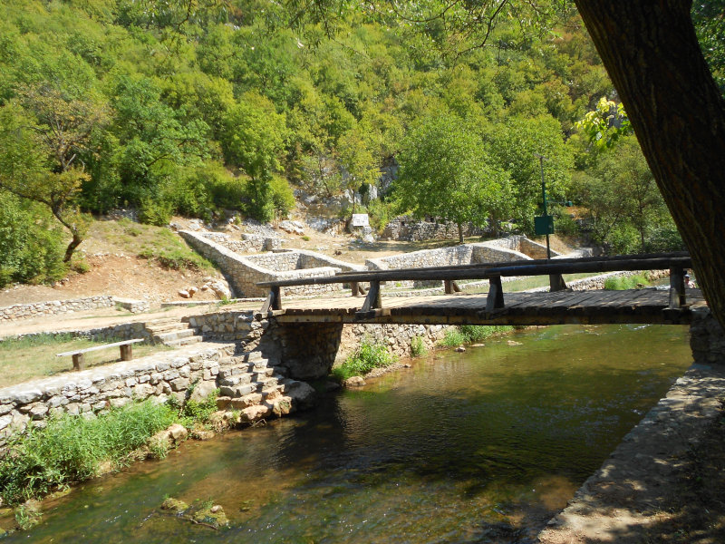 Petruški monasi